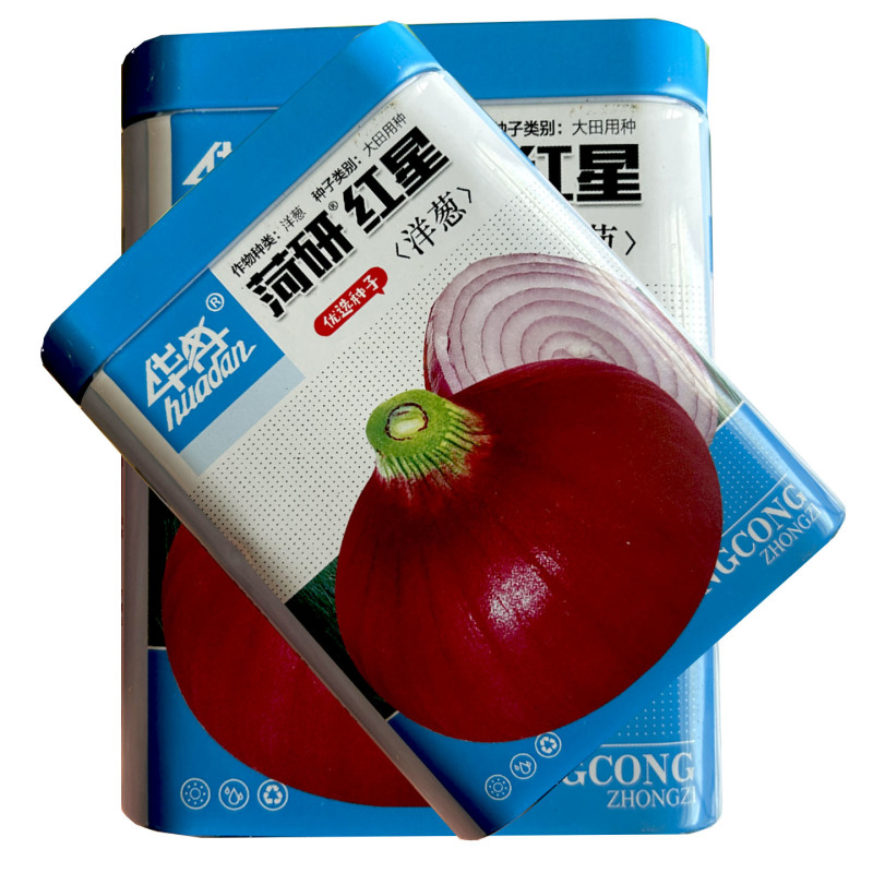 菏研红星洋葱种子100g耐寒圆葱大田红皮洋葱种籽
