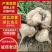 《湖北豆薯》个头饱满/产地直发/全国供应批发