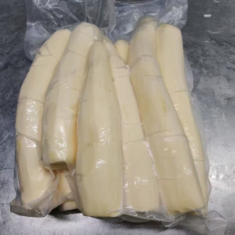 黄肉木薯