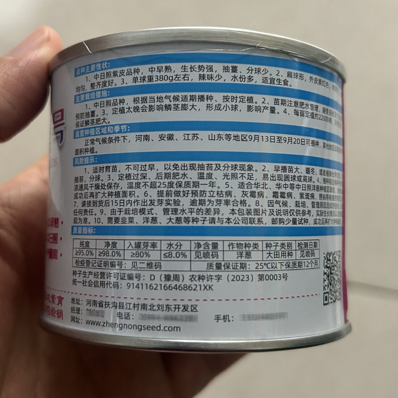 拯农紫玫瑰2号中日照紫皮洋葱种子50g中早熟扁球形紫红皮