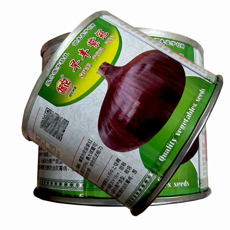 拯农种苗早丰紫冠早熟扁球形圆葱种子50g紫红皮洋葱种籽