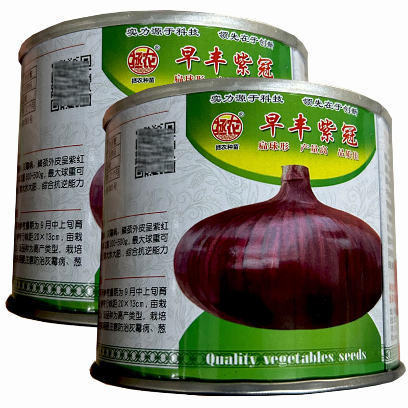 拯农种苗早丰紫冠早熟扁球形圆葱种子50g紫红皮洋葱种籽