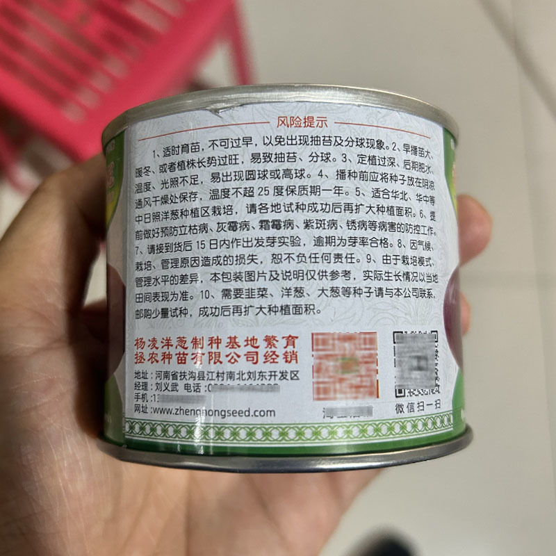 拯农种苗早丰紫冠早熟扁球形圆葱种子50g紫红皮洋葱种籽