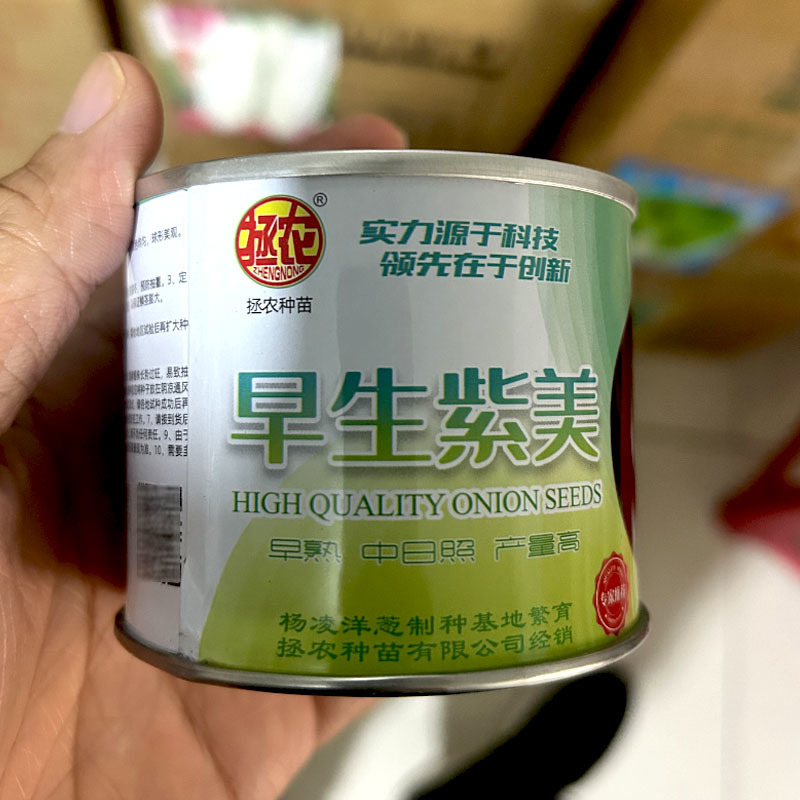 早生紫美中日照紫皮洋葱种子50g早熟扁球形紫红色圆葱头