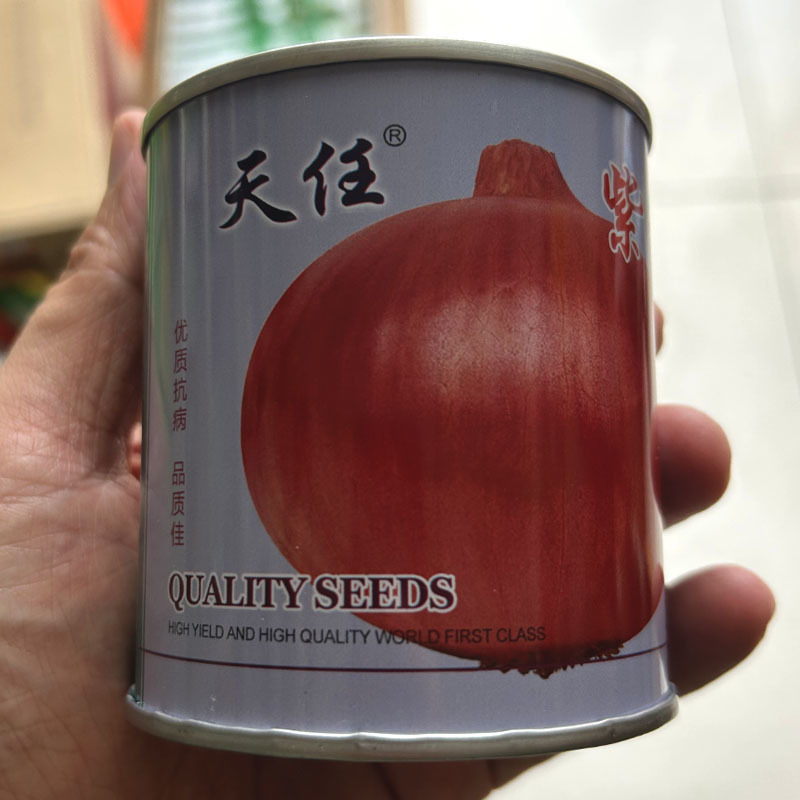 水果洋葱种子紫悦100g生吃紫红皮半高桩扁圆形圆葱种子