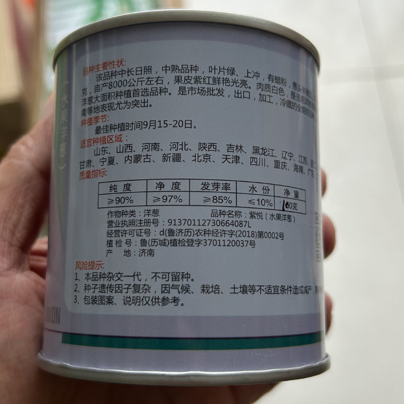 水果洋葱种子紫悦100g生吃紫红皮半高桩扁圆形圆葱种子