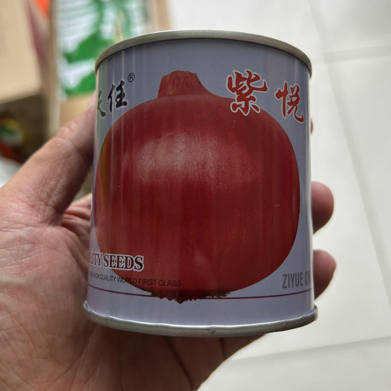 水果洋葱种子紫悦100g生吃紫红皮半高桩扁圆形圆葱种子