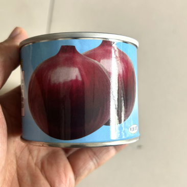 紫皮洋葱种子广良引进KA-957早熟紫皮洋葱种子100g