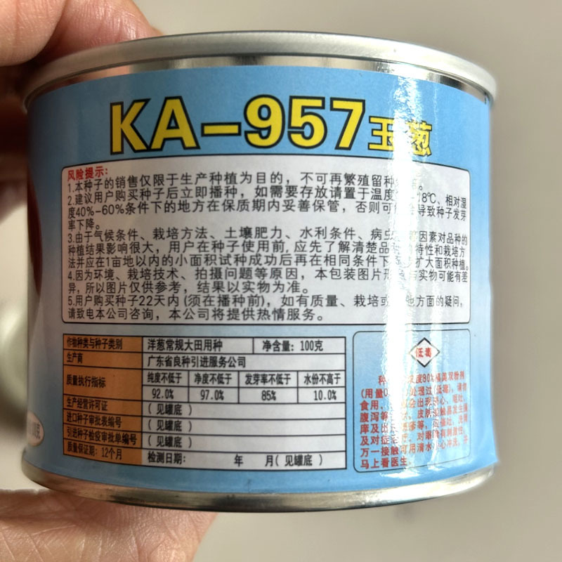 紫皮洋葱种子广良引进KA-957早熟紫皮洋葱种子100g