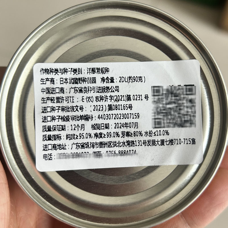 进口洋葱种子凤凰大玉葱种子改良中甲高大中早熟黄皮圆葱