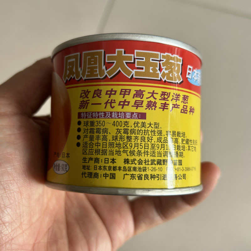 进口洋葱种子凤凰大玉葱种子改良中甲高大中早熟黄皮圆葱