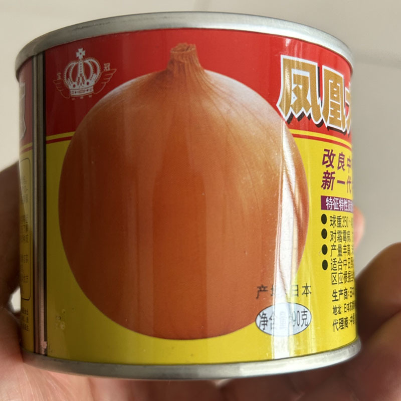 进口洋葱种子凤凰大玉葱种子改良中甲高大中早熟黄皮圆葱