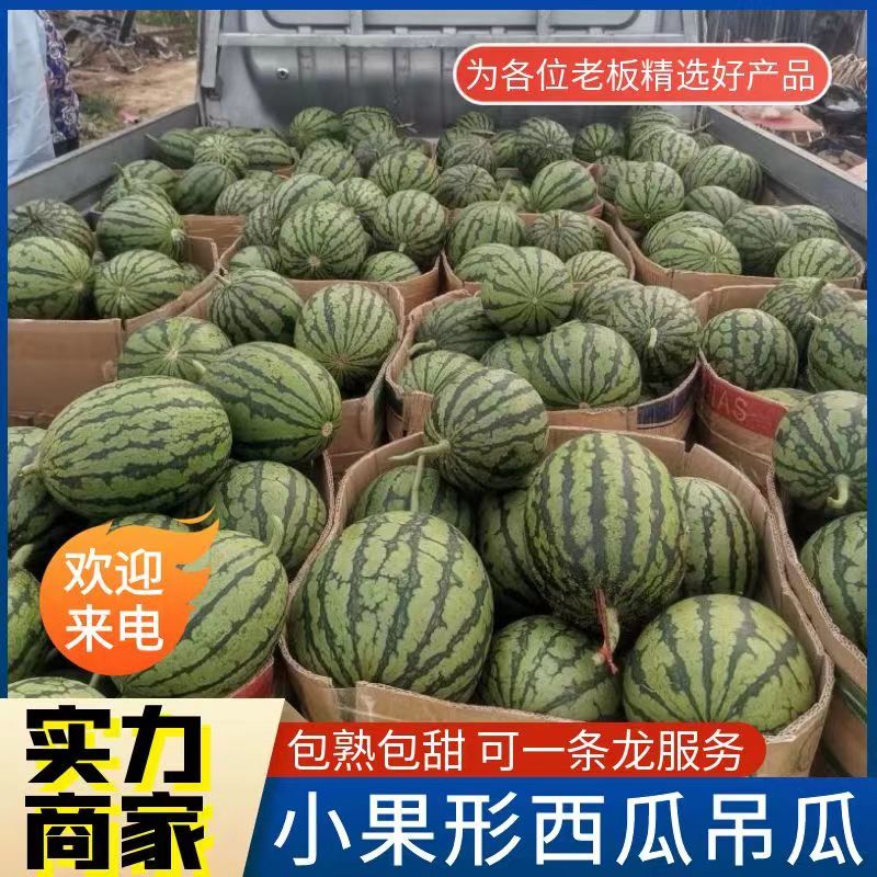 《小果形西瓜》吊西瓜&手剥西瓜/皮薄肉厚红瓤/包熟包甜