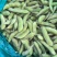 江苏毛豆精品毛豆货源充足，代收代发品质保证，视频看货