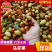 马牙枣，产地直供保质保量量大从优价格优惠欢迎看货