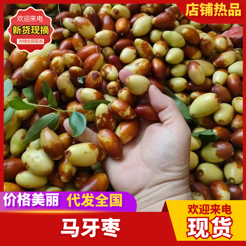 马牙枣，产地直供保质保量量大从优价格优惠欢迎看货