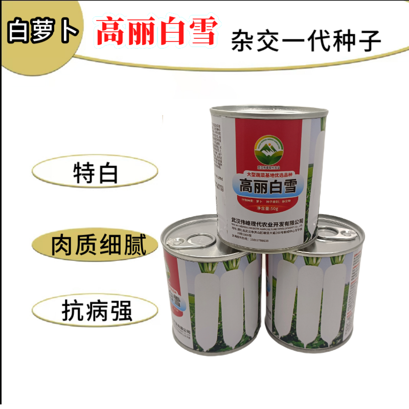 【高丽白雪】基地优选新品种白萝卜种子秋季种植条型好抗病高