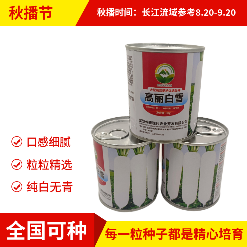 【高丽白雪】基地优选新品种白萝卜种子秋季种植条型好抗病高