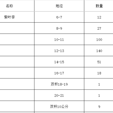 河南郑州荥阳紫叶李