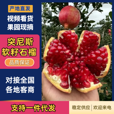 【突尼斯软籽石榴】大量上市产地直销，可做礼盒代发全国