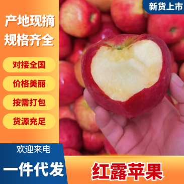 【精选】红露苹果四川苹果产地直销量大从优可对接全国市场