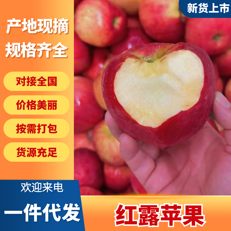 【精选】红露苹果四川苹果产地直销量大从优可对接全国市场