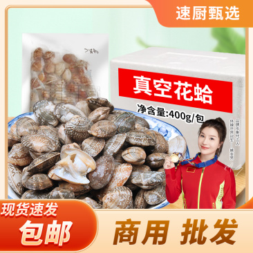 真空花蛤400g新鲜无沙蛤蜊海鲜商用酒店饭店花甲肉水产半