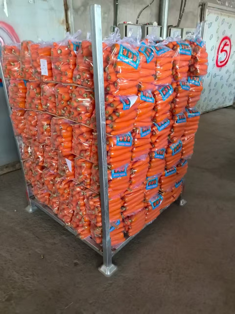 【产地发货】三红胡萝卜规格多样保证质量对接全国