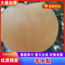 《丰水梨》陕西城固丰水梨/自家果园/价格便宜/欢迎来电咨
