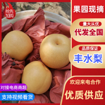 《丰水梨》陕西城固丰水梨/自家果园/价格便宜/欢迎来电咨