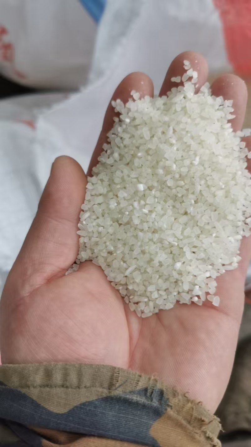 黑龙江牡丹江镜泊湖石板大米大量有货/精品稻花香大米量大优惠