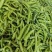 【热卖】河南黄皮辣椒产地直销量大质优价格优惠欢迎采购
