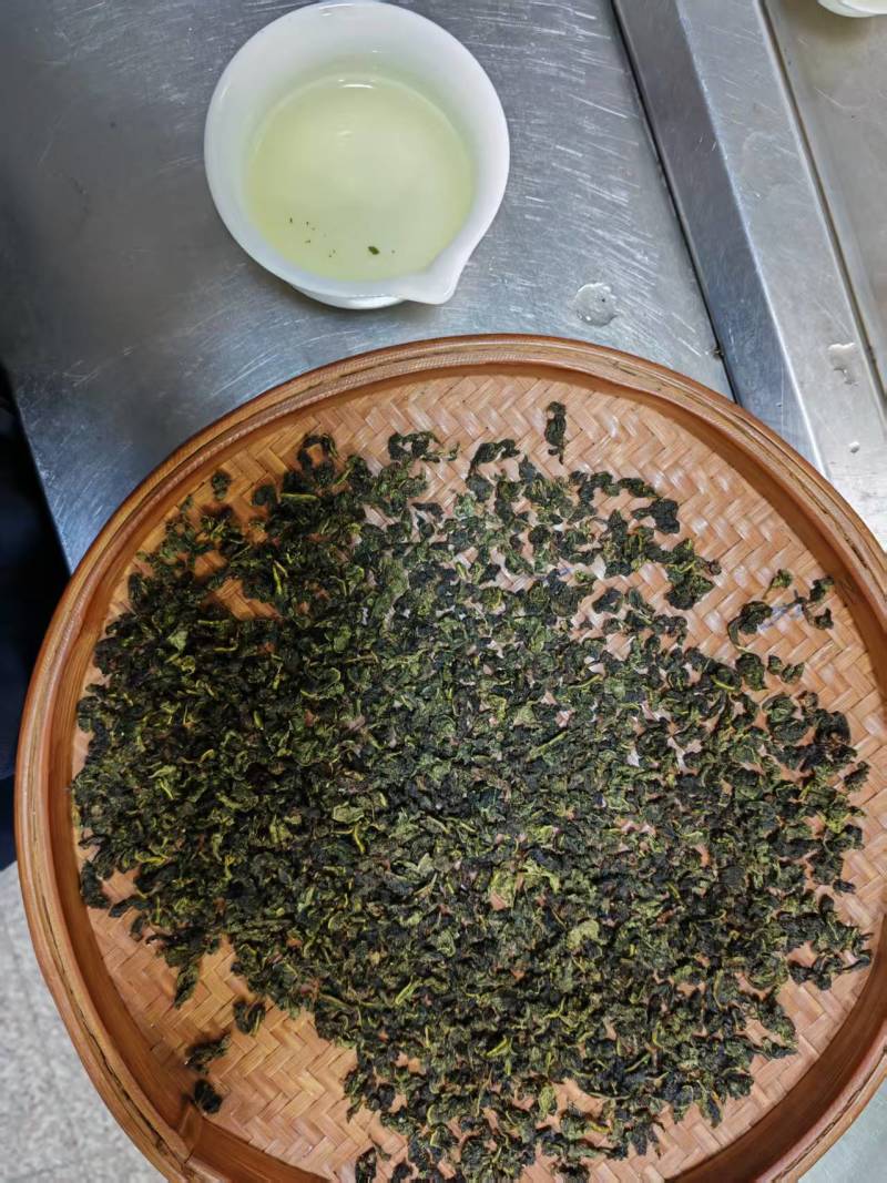 福建农家铁观音茶可批发可零售农家现采新茶产地直销
