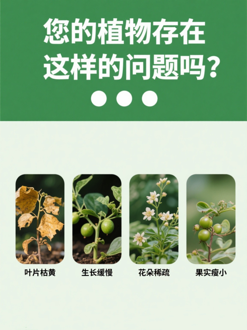 【推荐】微生物菌肥厂家直发一条龙服务量大从优可视频看货