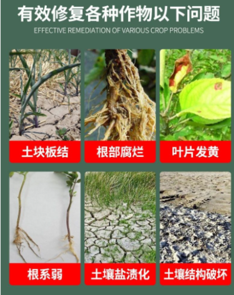 【推荐】微生物菌肥厂家直发一条龙服务量大从优可视频看货