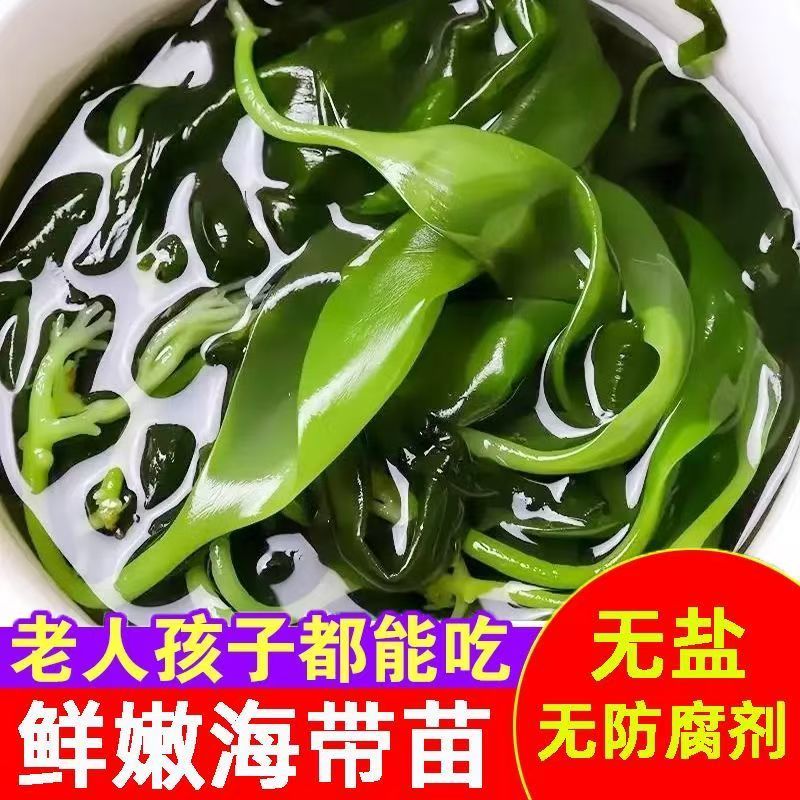海带苗嫩非干货新鲜海带芽盐渍嫩苗凉拌菜火锅商