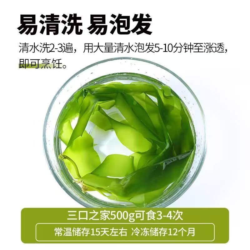 海带苗嫩非干货新鲜海带芽盐渍嫩苗凉拌菜火锅商