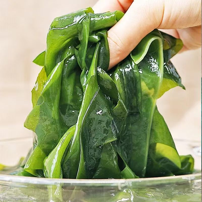 海带苗嫩非干货新鲜海带芽盐渍嫩苗凉拌菜火锅商