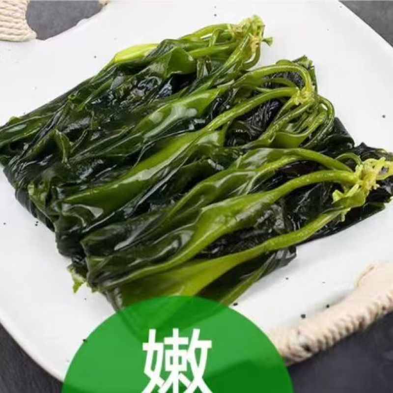 新鲜盐渍小海带芽口感爽脆适合火锅凉拌一手货源量大从优