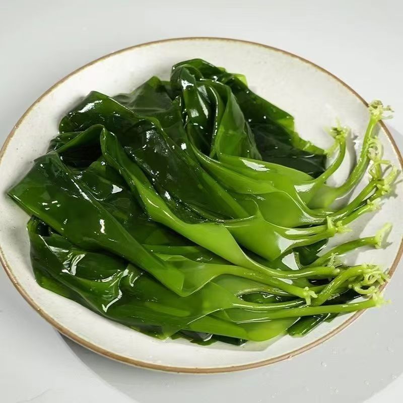 新鲜盐渍小海带芽口感爽脆适合火锅凉拌一手货源量大从优