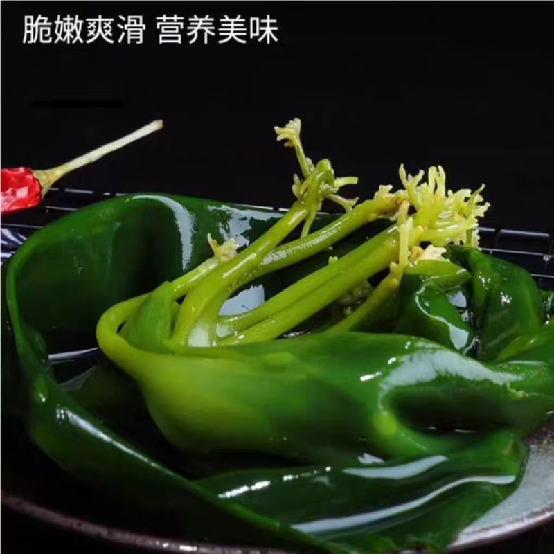 新鲜盐渍小海带芽口感爽脆适合火锅凉拌一手货源量大从优
