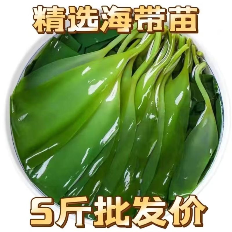 新鲜盐渍小海带芽口感爽脆适合火锅凉拌一手货源量大从优