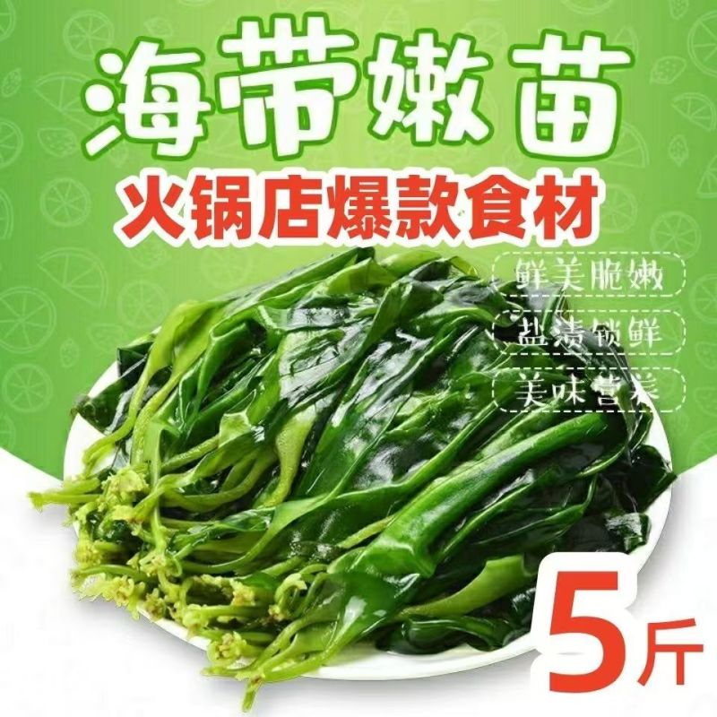 新鲜盐渍小海带芽口感爽脆适合火锅凉拌一手货源量大从优