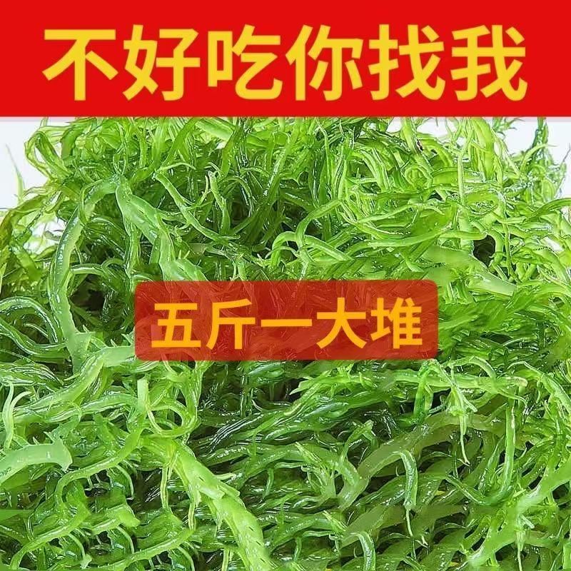福建霞浦精品龙须菜货源地直发承接电商一件代发