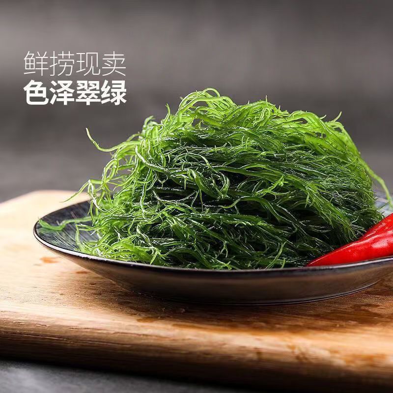 福建霞浦精品龙须菜货源地直发欢迎各位老板前来选购
