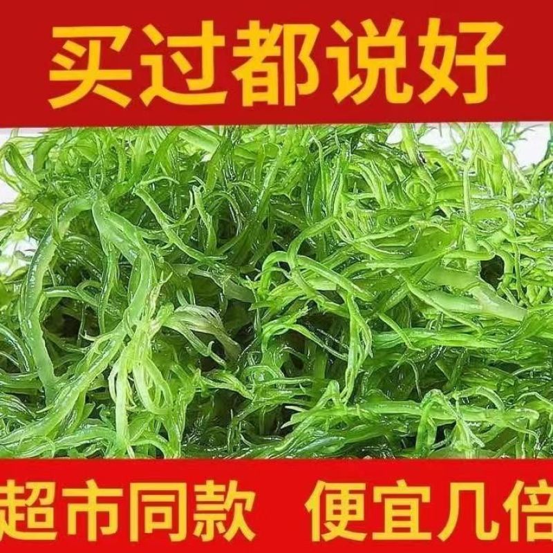 福建霞浦精品龙须菜货源地直发欢迎各位老板前来选购