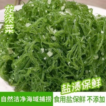 福建龙须菜500克凉拌菜火锅菜