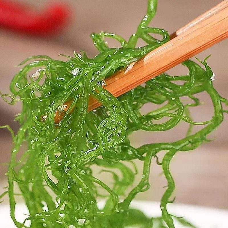 福建龙须菜500克凉拌菜火锅菜