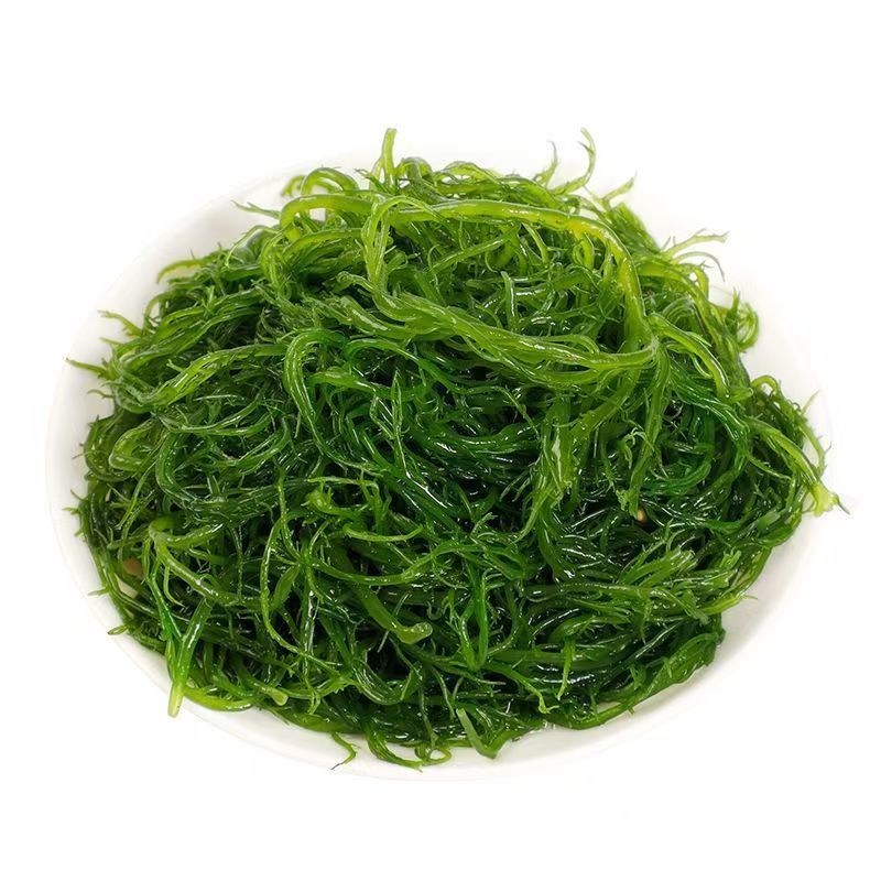 新鲜盐渍龙须菜新鲜商用海草海藻即食火锅凉拌菜食材