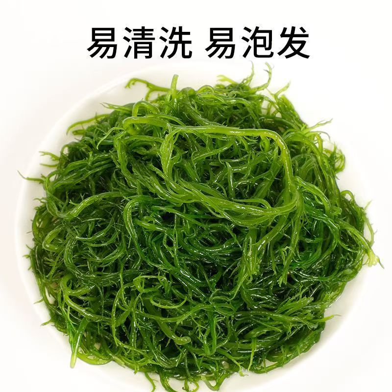 新鲜盐渍龙须菜新鲜商用海草海藻即食火锅凉拌菜食材